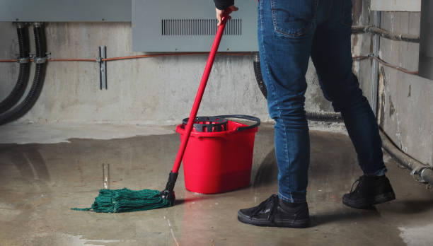 Best Fire Damage Restoration  in Olympia Fields, IL