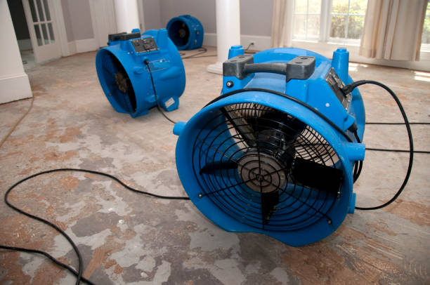 Best Professional water damage repair  in Olympia Fields, IL