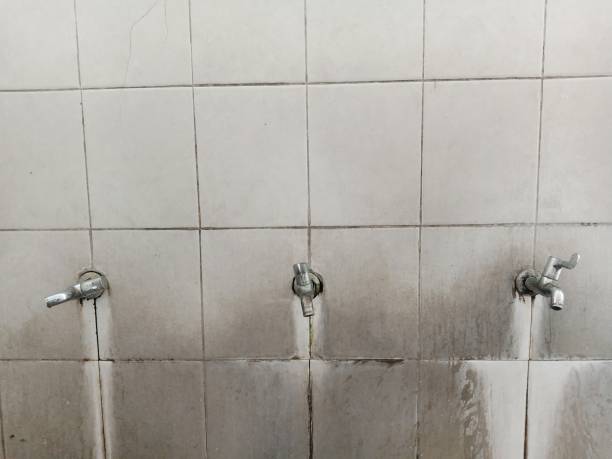 Best 24-hour water damage restoration  in Olympia Fields, IL