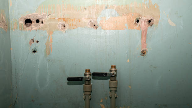 Best Water damage cleanup near me  in Olympia Fields, IL