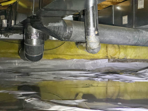 Best Water damage contractors near me  in Olympia Fields, IL