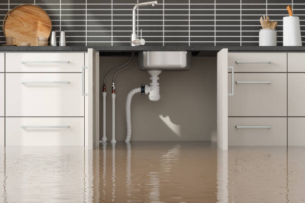 Best Water damage restoration experts  in Olympia Fields, IL
